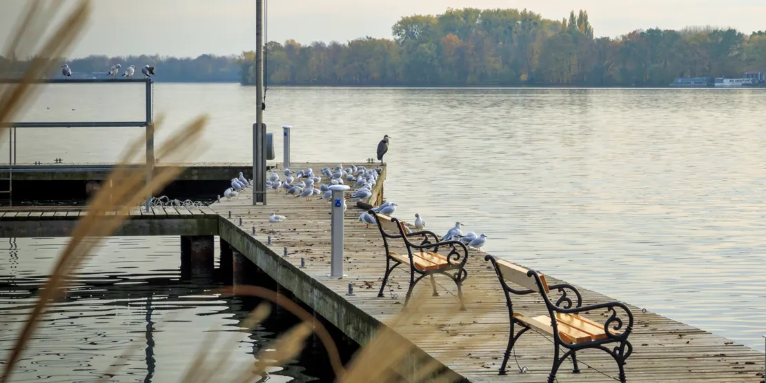 Steg mit Sitzbänken an einem See